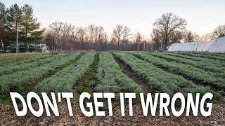 Wait, Before You Cover Crop…