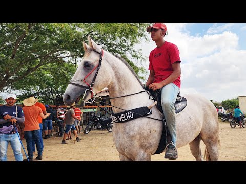 FEIRA DE CAVALOS EM ALTINHO-PE   06-12-2025 #nordeste