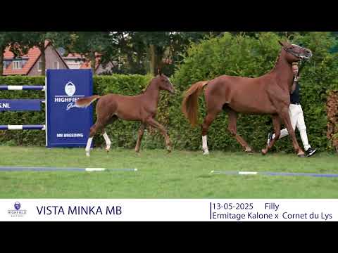 VISTA MINKA MB