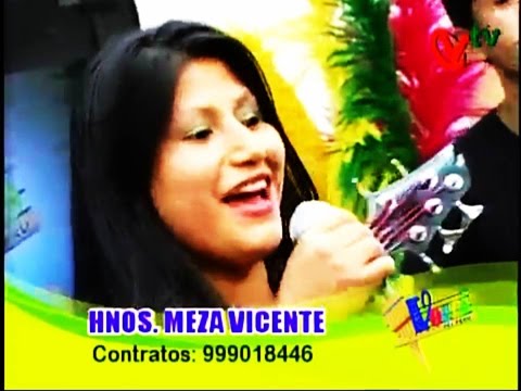 HNOS  MEZA VICENTE VICUÑITA PUMPIN FAJARDINO