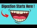 Digestion In The Mouth