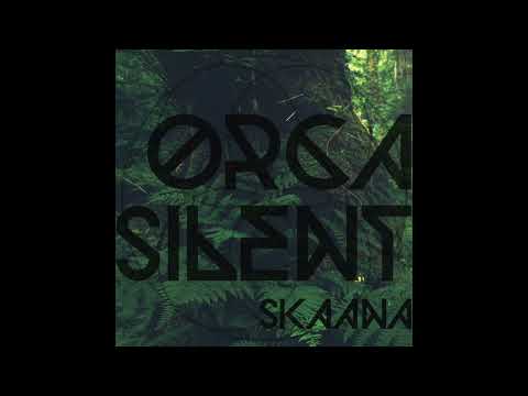 Indefinite Pitch PREMIERES. Orca Silent - Forgotten (Moon Patrol Remix) [Deephist]