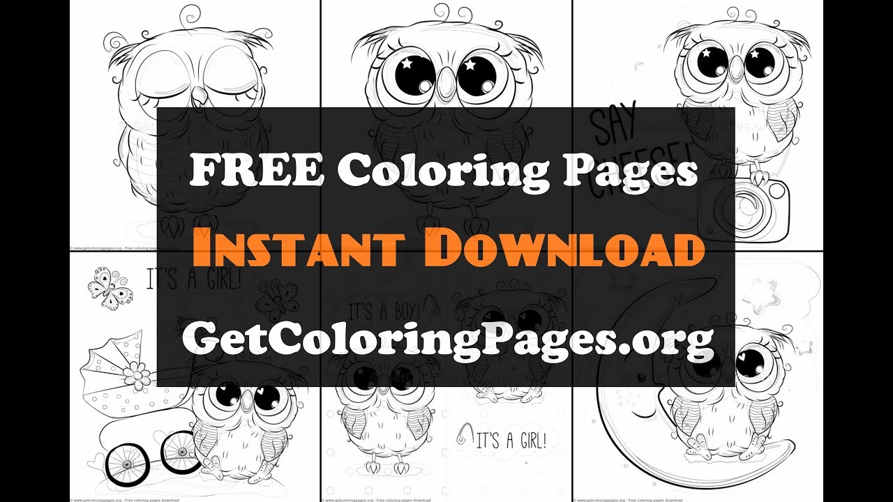 Free printable owl pictures