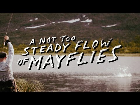 A Not Too Steady Flow Of Mayflies | Full Fly Fishing Film 2024