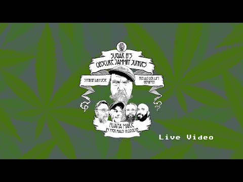 Die nüchterne Realität (Live im 14er Haus)