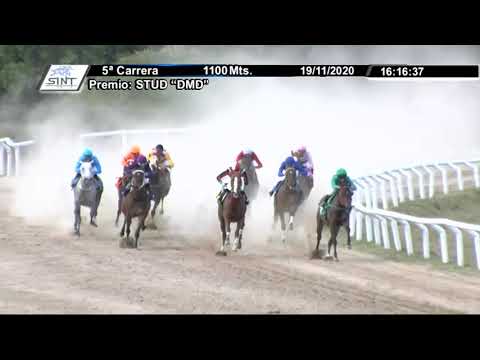 201119 c05 1° Que Diosa - SINT-FLORIDA