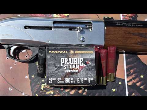 Federal .22 LR Hollow Point - Bulk Ammo Shooting Review - 7 Gun Test - WOW! - Only Two Guns Liked It