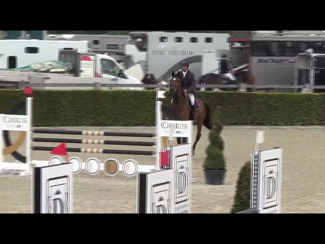 Hongre 13 ans CSO - A vendre