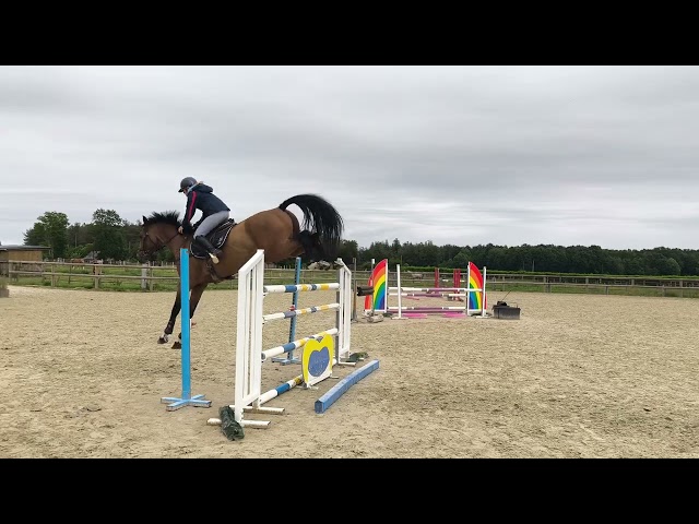 Magnifique 8ans Gagnant Am &Eacute;lite 
