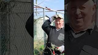 Наш домашний  Волшебный сад.   Возвращение.