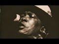 John Lee Hooker - Rock Steady (1979 Colden, New York)