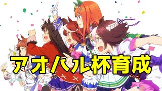 【ウマ娘】アオハル杯やる…!
