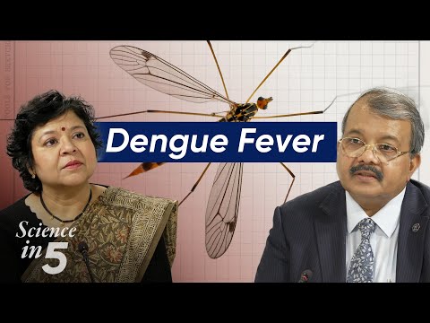 Science in 5 - Dengue Fever (Tetun Subtitles)