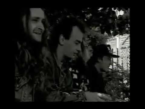 Alkehol - Pivo dělá hezká těla (Official video)