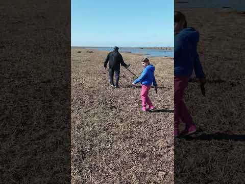 Detección en puerto de los botes