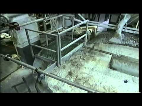 How Money is Made   Printed   HD