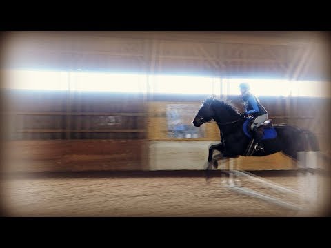 STORM WENT CRAZY! NO JOKE   SOMETHING IS HAPPENING TO HIM!