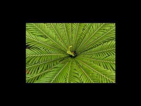 Konde - Heroi da Minha Vida Dedicado aos meus pais