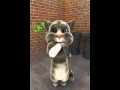 с днем рождения кошка 