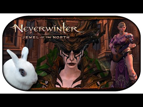 NEVERWINTER: Mit Sang und Klang durch Faerun 🎸 25 - Katas fragwürdiger Frauengeschmack
