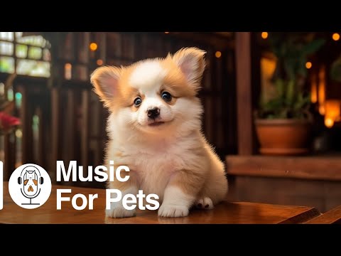 Música para Relajar a los Perros 💖 Música Relajante para Tus Mascotas Bebés, Música Relajante pa...