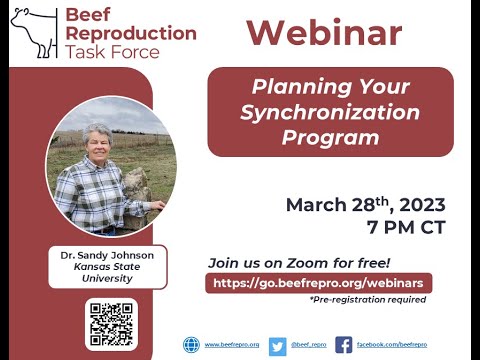 BRTF Spring Webinar - Planning Your Synchronization Protocol