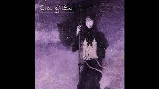 Children Of Bodom This Road All Instruments Cover