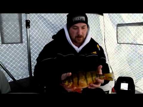 Ice Fishing For Perch on Devils Lake