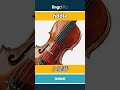 fiddle - 小提琴 video thumbnail