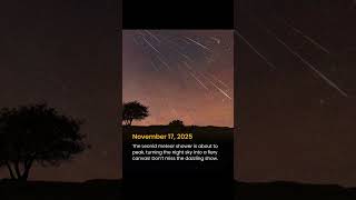 Leonid Meteor Shower Peak – November 17, 2025