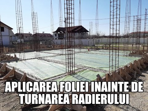 viziune de fundație caritabilă