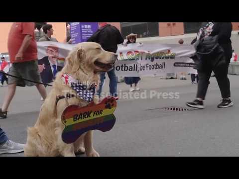 Rainbow flags dot Iran protest in Seattle ahead of World Cup match