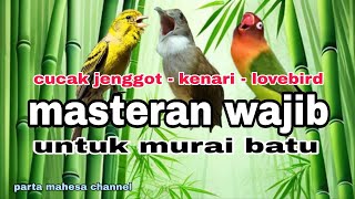 Download lagu CUCAK JENGGOT - KENARI - LOVEBIRD‼️Masteran Wajib Murai batu Agar Mudah Menyusun Lagu mp3 Download lagu CUCAK JENGGOT - KENARI - LOVEBIRD‼️Masteran Wajib Murai batu Agar Mudah Menyusun Lagu mp3