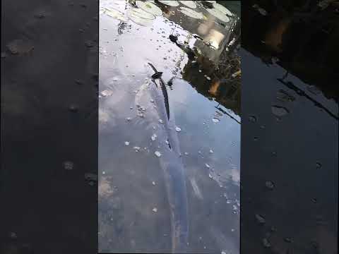 quand tes tranquille a la pêche