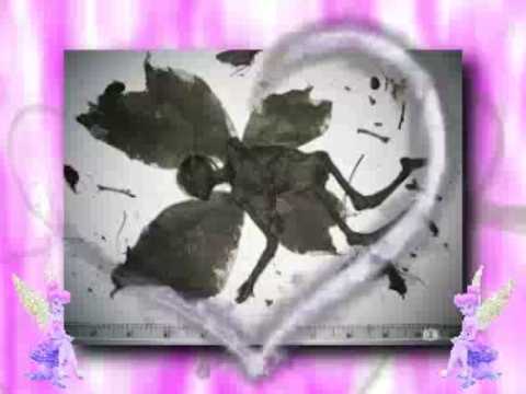 Video 2