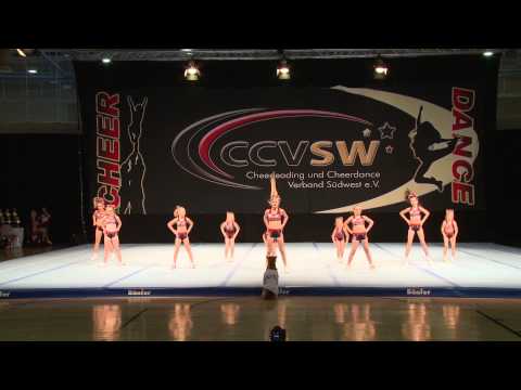 Twinkle Cats - PeeWee L1 - Spirit Challenge 2015 - PLACE 9