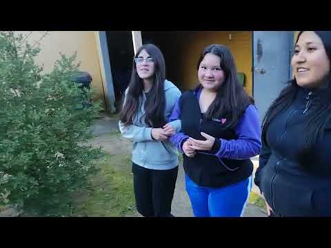 Habla · Cortometraje · Liceo Bicentenario Los Sauces