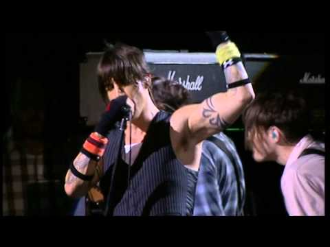 Red Hot Chili Peppers - This Velvet Glove [Live, Chorzów - Poland, 2007]