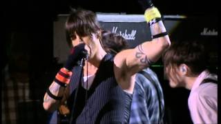 Red Hot Chili Peppers - This Velvet Glove [Live, Chorzów - Poland, 2007]