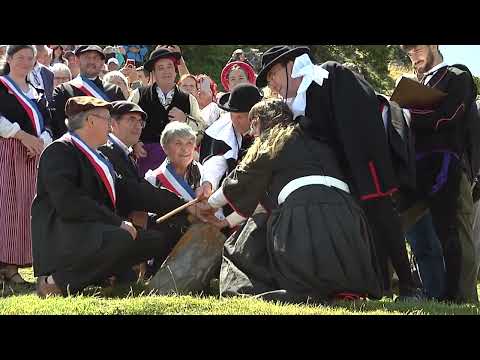 El Tributo de las Tres Vacas: 650 años de paz transfronteriza  El Tributo de las Tres Vacas: 650 años de paz transfronteriza