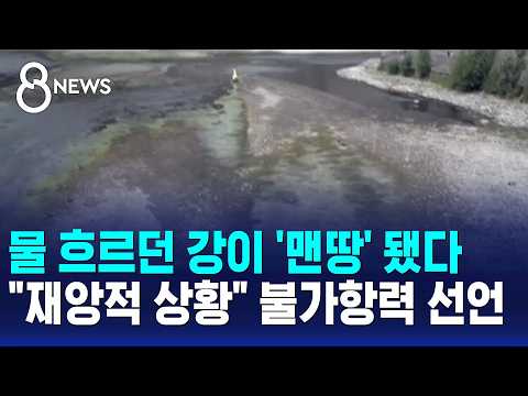 라인강이 말라서 배가 못 다녀요! 기업들도 큰 피해를 입고 있어요