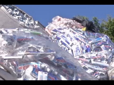 Reciclagem e economia gerada por ações de sustentabilidade, assuntos do Momento Eco