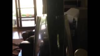 This Morning Harvest of gold  Gossling Music