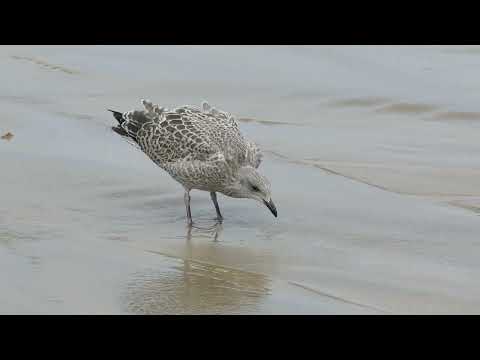 { SOMETIMES HEARTS COLLIDE } BY PARTICLE HOUSE