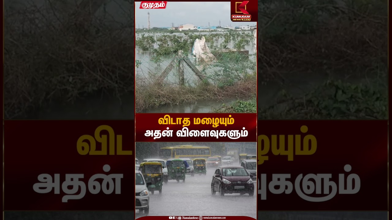 விடாத மழையும் அதன் விளைவுகளும் | Heavy Rain Alert | Kumudam News