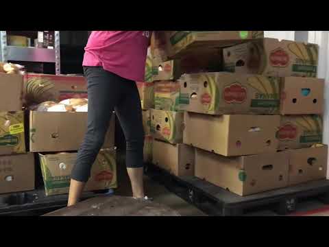 Hays County Food Bank Promo Video