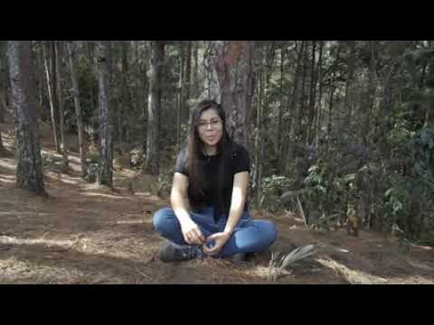 Ana C. - Infant Qualified Au Pair from Colombia