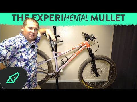 The Plus Mullet Experiment - Getting experiMENTAL with my Banshee Paradox V3