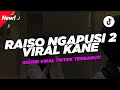 DJ Raiso Ngapusi 2 Wingi Atiku Raiso Ngapusi Viral Tiktok Sound Nabih Fvnky
