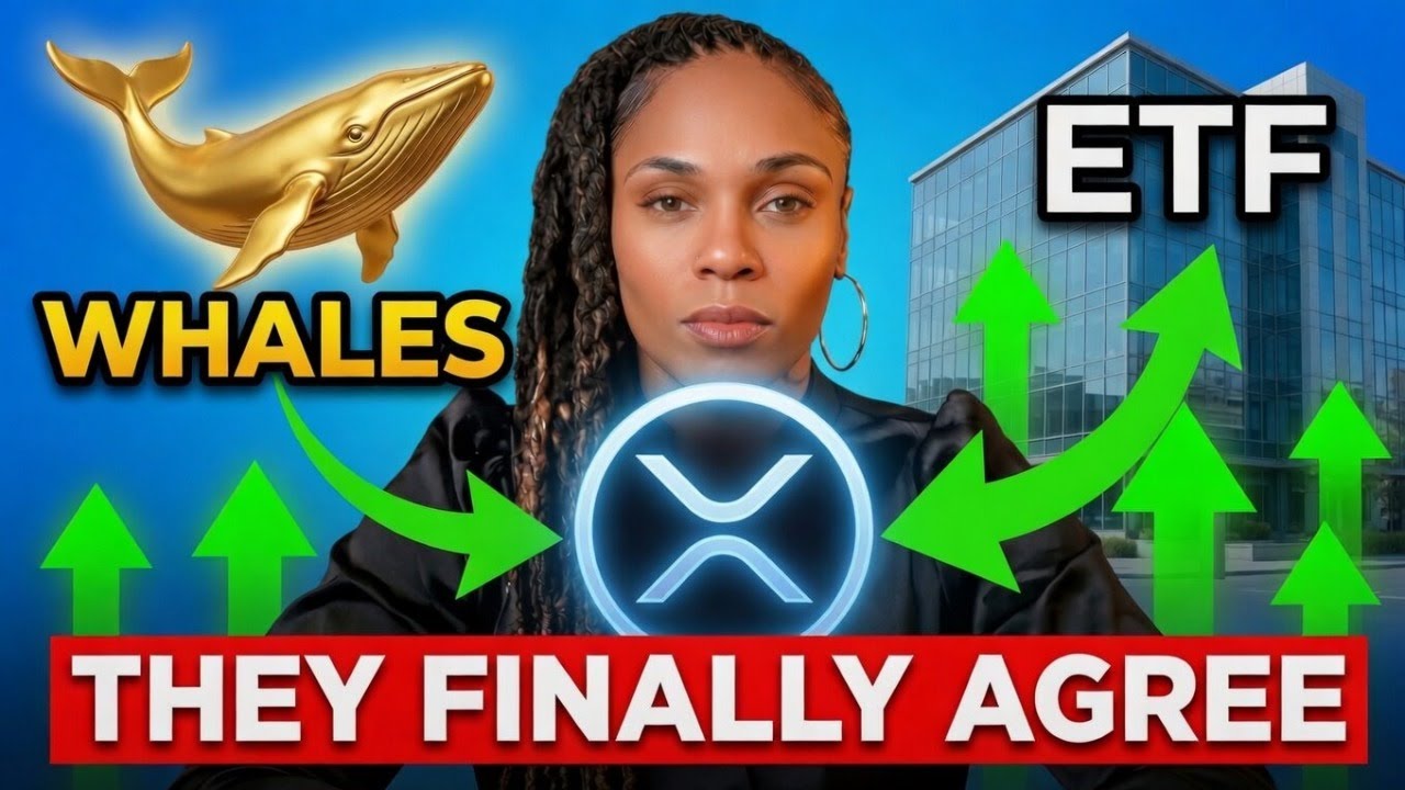 For The First Time In 2026 — Whales And ETFs Are Buying XRP At The SAME Time